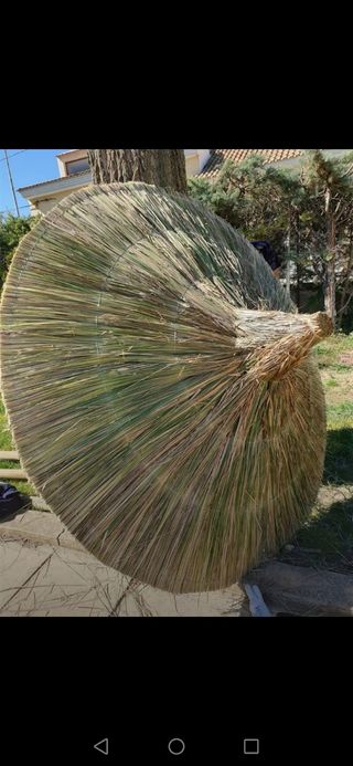 se hacen sombrillas de brezo. esparto.mimbre. ect