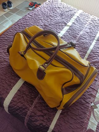 Chubasquero de perro