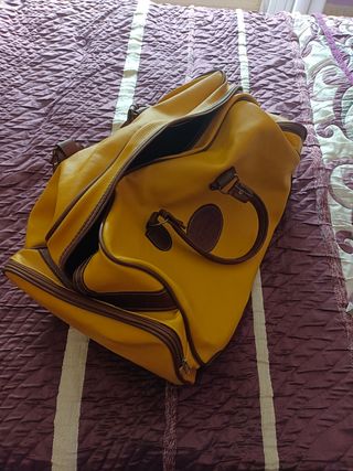 Chubasquero de perro