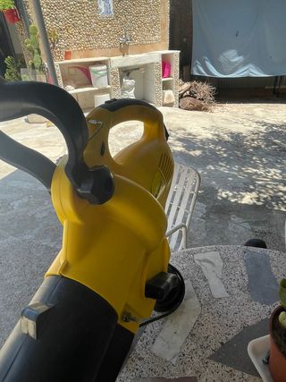 Buzador Aspirador de Jardín de Hojas