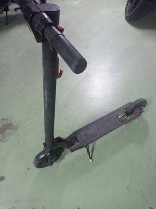 Patin