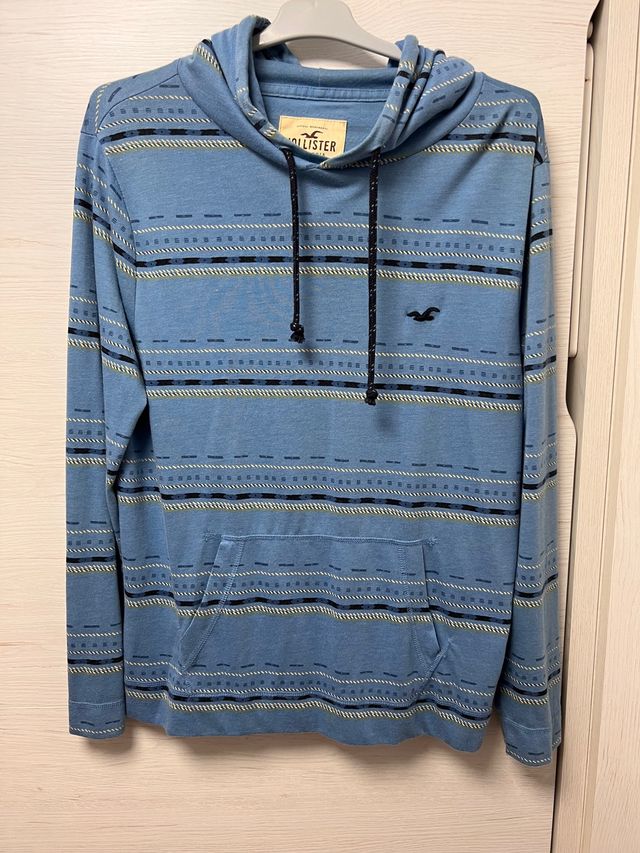 Sudadera Hollister con capucha