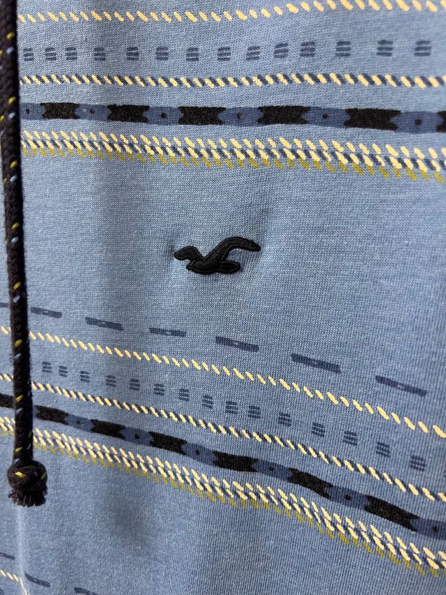 Sudadera Hollister con capucha