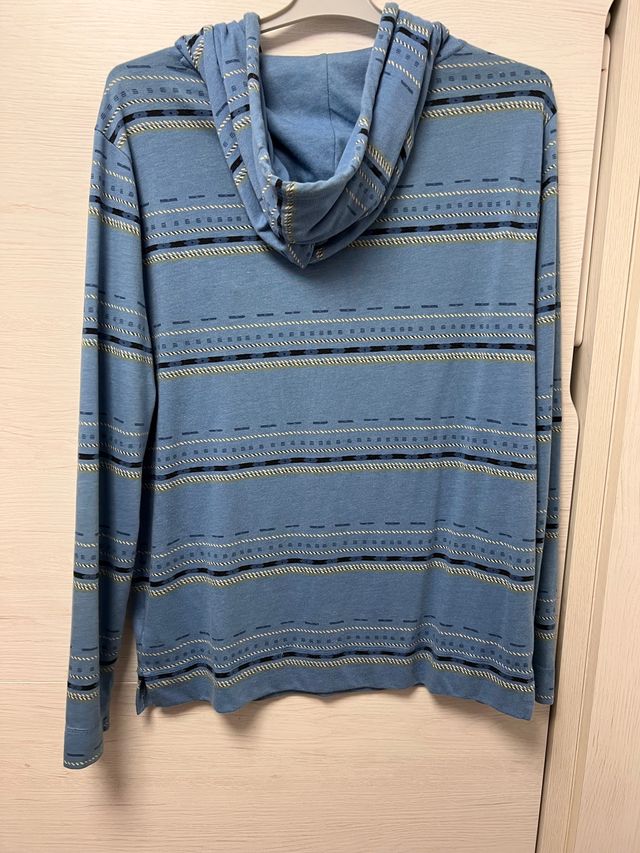 Sudadera Hollister con capucha