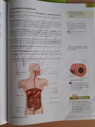 BIOLOGÍA Y GEOLOGÍA 3 ESO