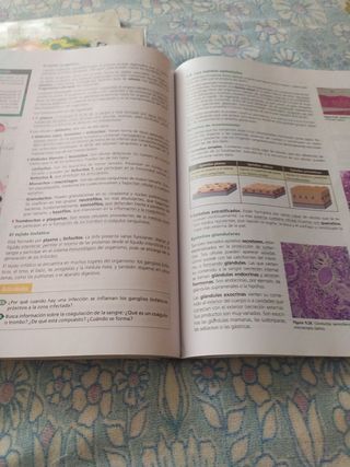 Biología y Geología 1 Bachiller