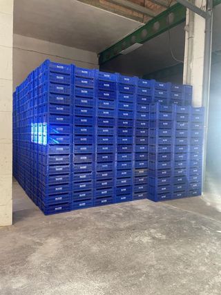 Cajas fruta verdura a estrenar