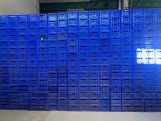 Cajas fruta verdura a estrenar