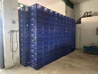 Cajas fruta verdura a estrenar