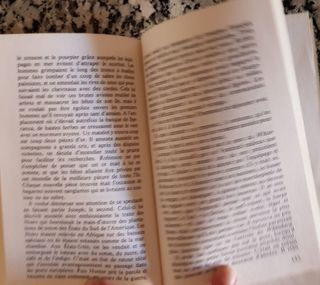 Vendredi ou la vie savage novela