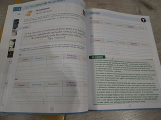 Proyecto buenagente,San Francisco de asi