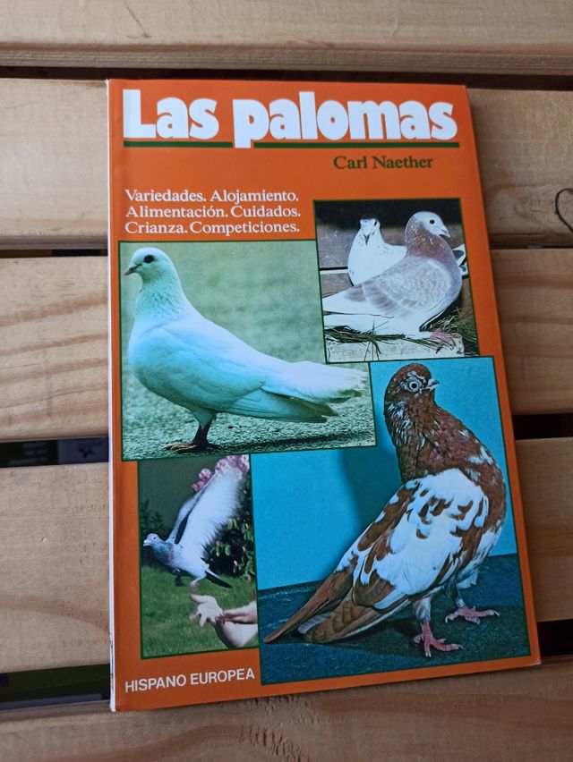 Las Palomas Carl Naehter
