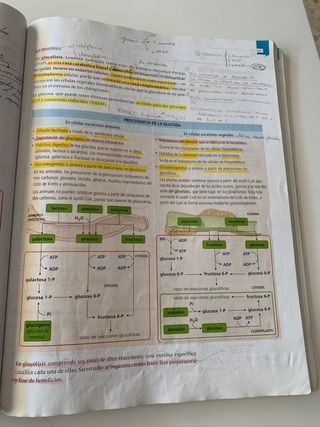 Libro de biología 2 bachillerato