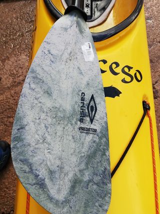 Kayak sipre morcego