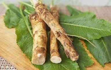 2kg Hrean/rabanitos picantes