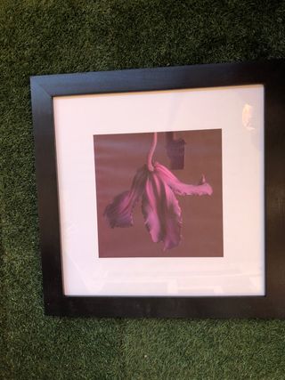 Cuadro grande Ikea flor morada