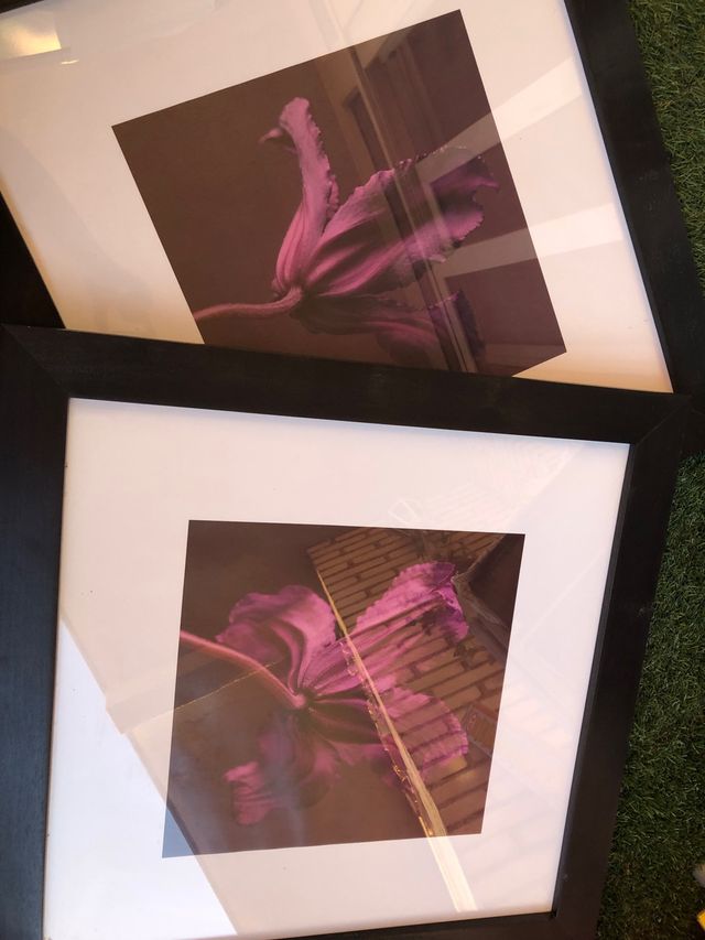 Cuadro grande Ikea flor morada