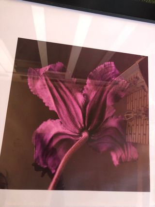 Cuadro grande Ikea flor morada