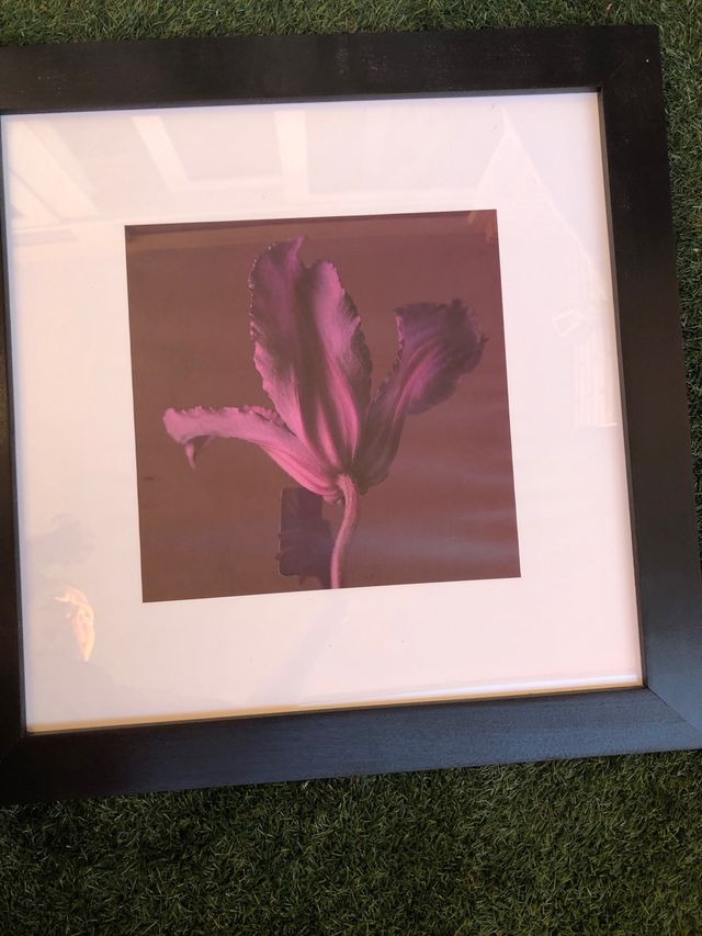 Cuadro grande Ikea flor morada