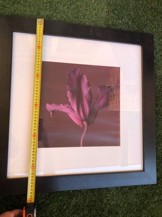 Cuadro grande Ikea flor morada