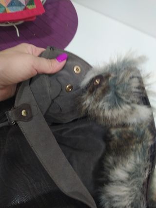 Bolso marrón desmontable