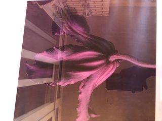 Cuadro grande Ikea flor morada