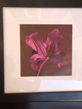 Cuadro grande Ikea flor morada