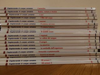 Intera collezione del corpo umano dal 1 al 52
