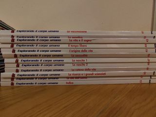 Intera collezione del corpo umano dal 1 al 52