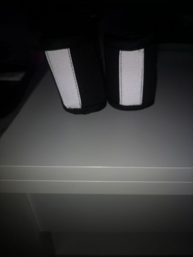 Coderas perro,nuevas a estrenar,