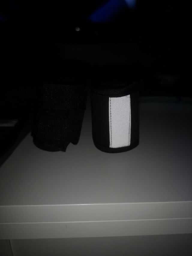 Coderas perro,nuevas a estrenar,