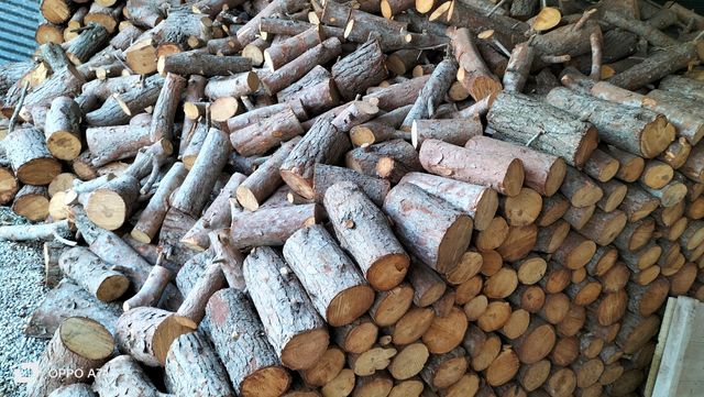 leña  seca a 8 centimos  a granel 3METROS CÚBICOS 