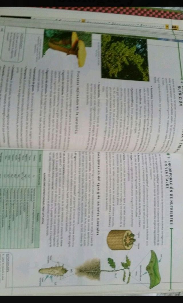 Biología y Geologia