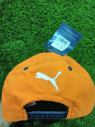 Gorra nueva Red Bull verstappen Puma