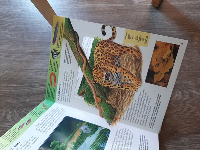 Animales Nocturnos de la Selva