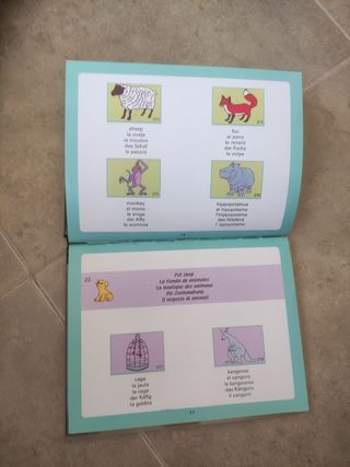 Colección Muzzy