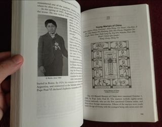 YOUNG FACES OF HOLINESS (LIBRO EN INGLES)