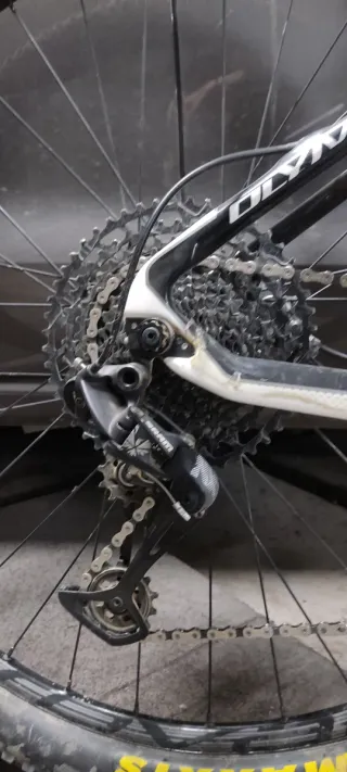 OLYMPIA IRON Talla M. NEGOCIABLE