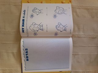 Colección  Gerónimo Stilton English