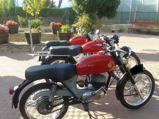 Cota 348 trail Brio 110 Impala turismo-comando 175