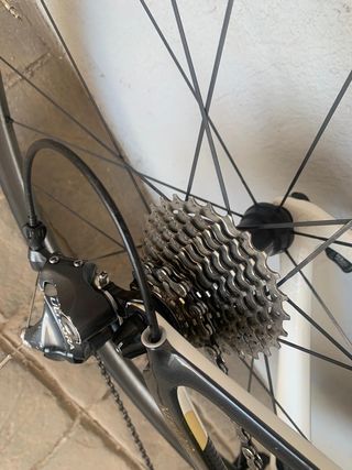 BICICLETA TREK MADONE