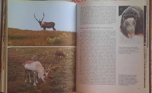 Libros de Fauna