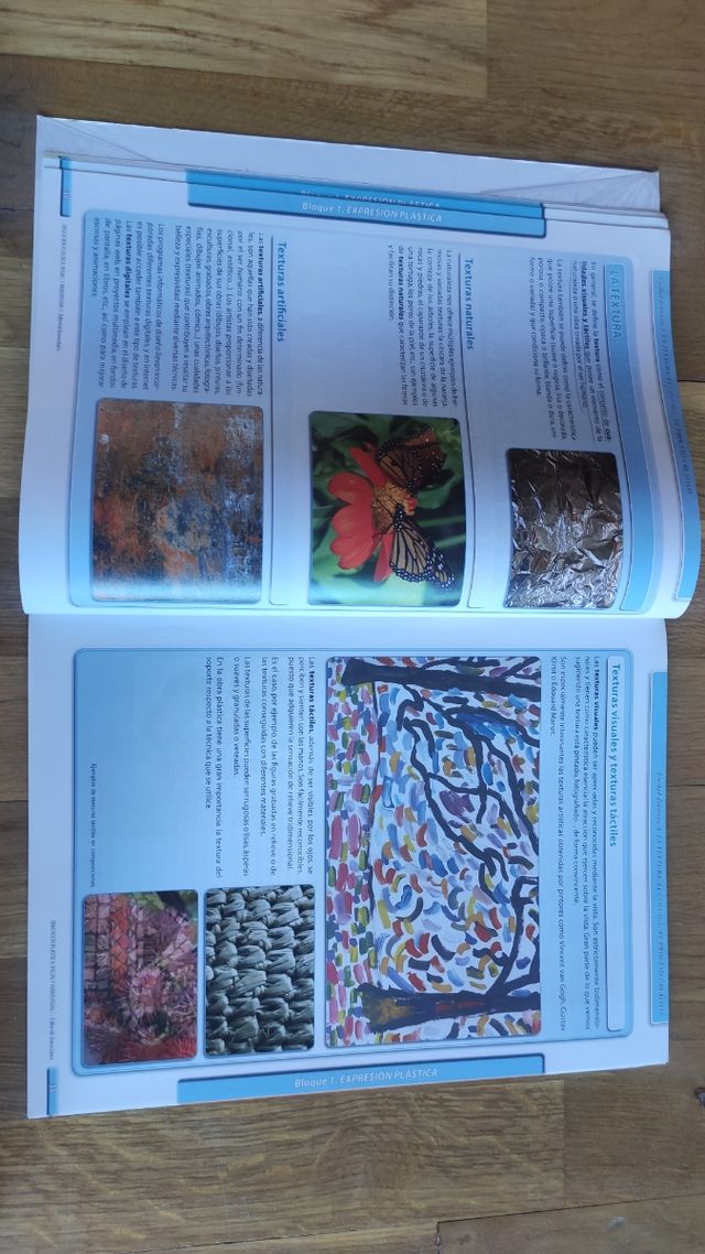 Libro de Plástica, Visual y Audiovisual 1ESO