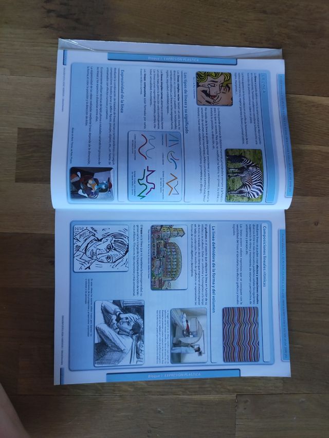 Libro de Plástica, Visual y Audiovisual 1ESO