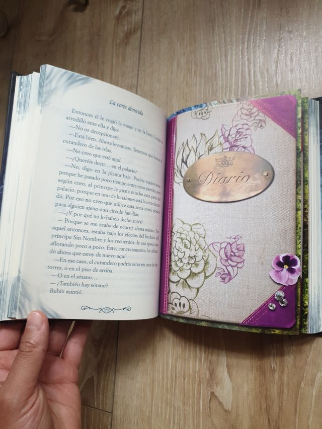 Livro Rainha do Sono