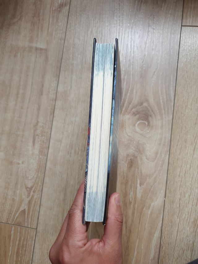 Livro Rainha do Sono