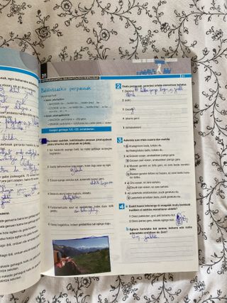 Hizkuntzan trebatzen 1, Ibaizabal, Batx 1