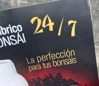LOMBRICO 24/7 EL CUIDADO DIARIO PARA TU BONSAI