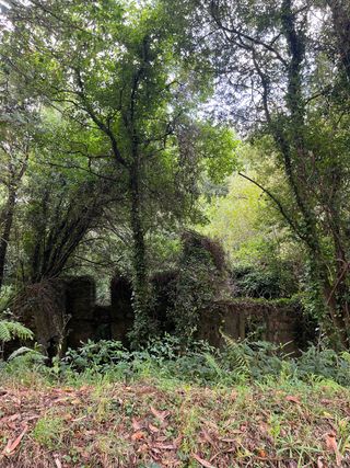 PRECIO NEGOCIABLE ( Terreno con construcciones en venta)