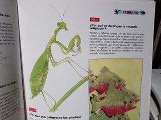 LIBRO "365 PREGUNTAS Y RESPUESTAS"